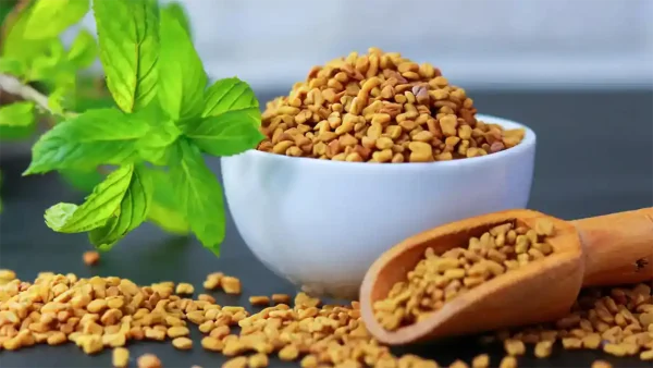 شنبلیله صادراتی لوکس